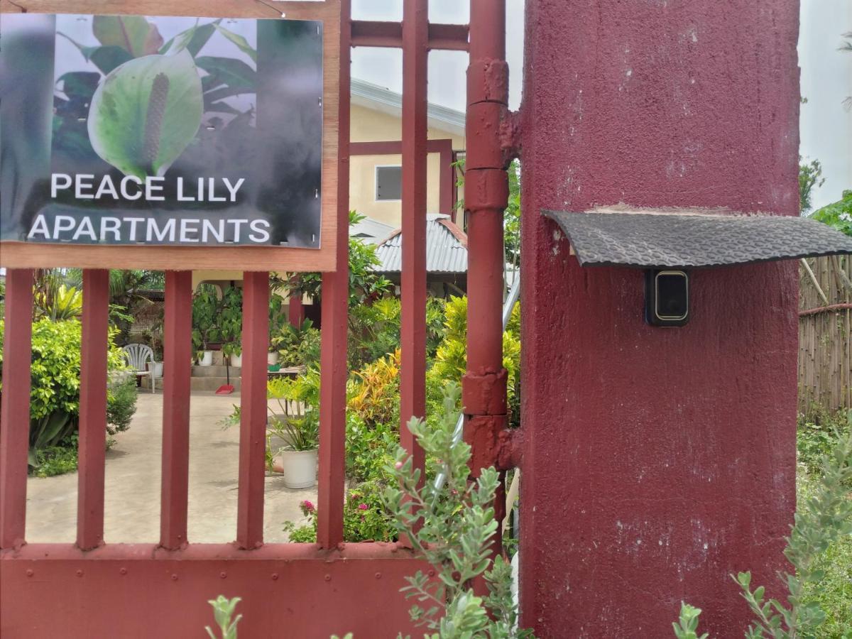 Peace Lily Studio Apartments ปางเลา ภายนอก รูปภาพ