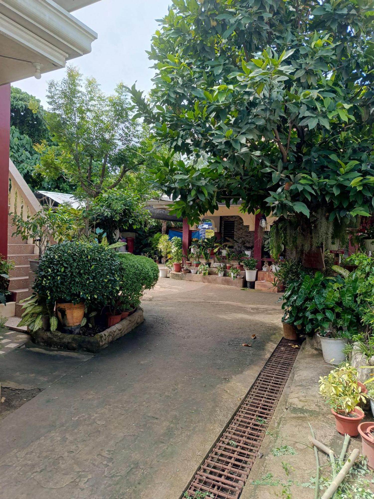 Peace Lily Studio Apartments ปางเลา ภายนอก รูปภาพ