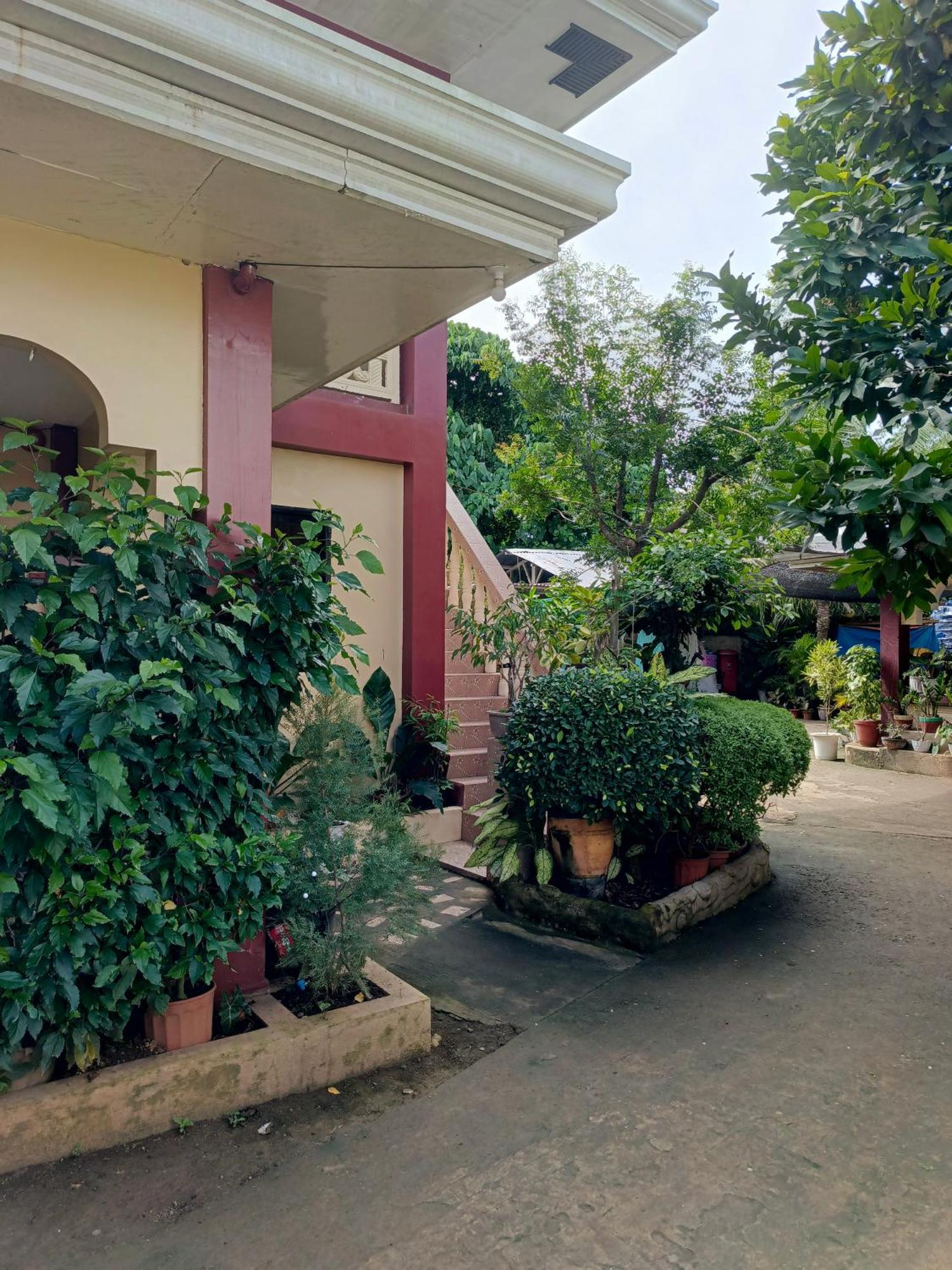 Peace Lily Studio Apartments ปางเลา ภายนอก รูปภาพ